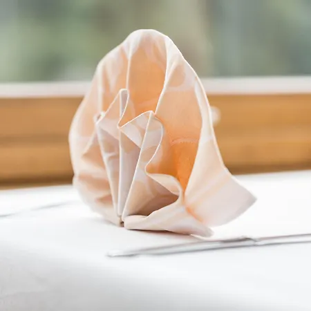 호텔 Historisches Baeren 2*