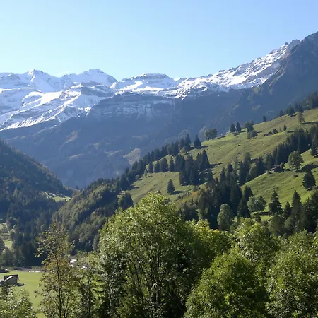 Historisches Baeren 호텔 2*