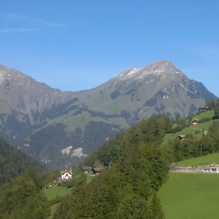 Historisches Baeren 2*