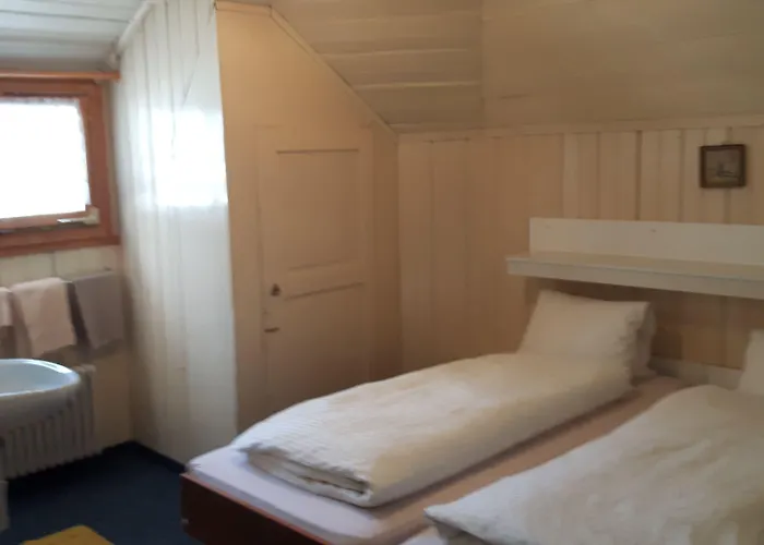 Historisches Bären 2*