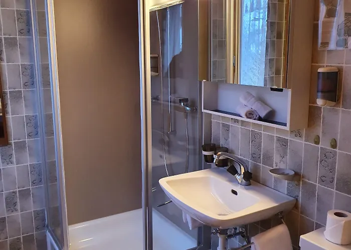 Historisches Baeren 2*