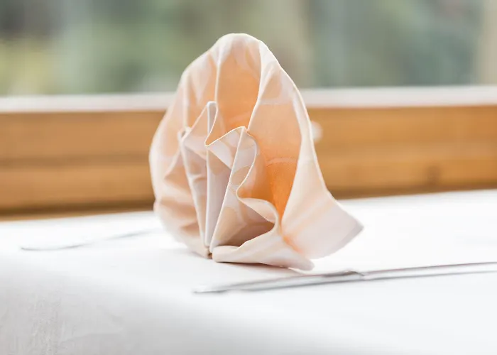 Szálloda Historisches Baeren 2*