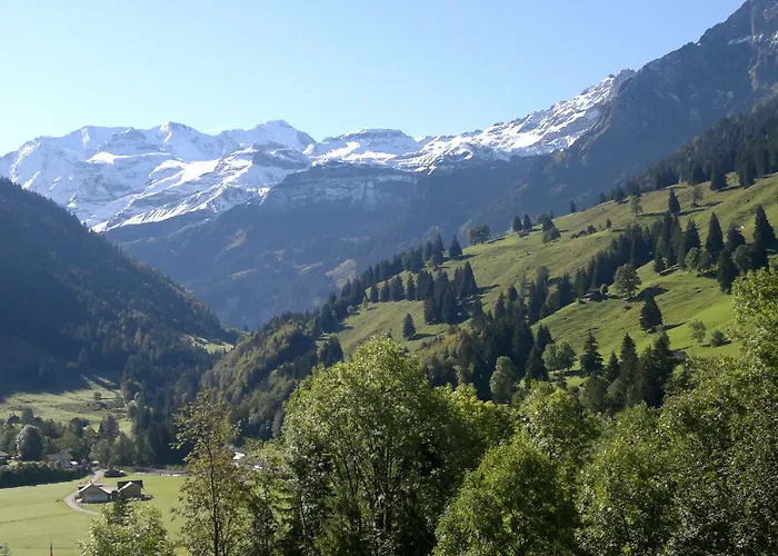 Historisches Baeren Szálloda 2*