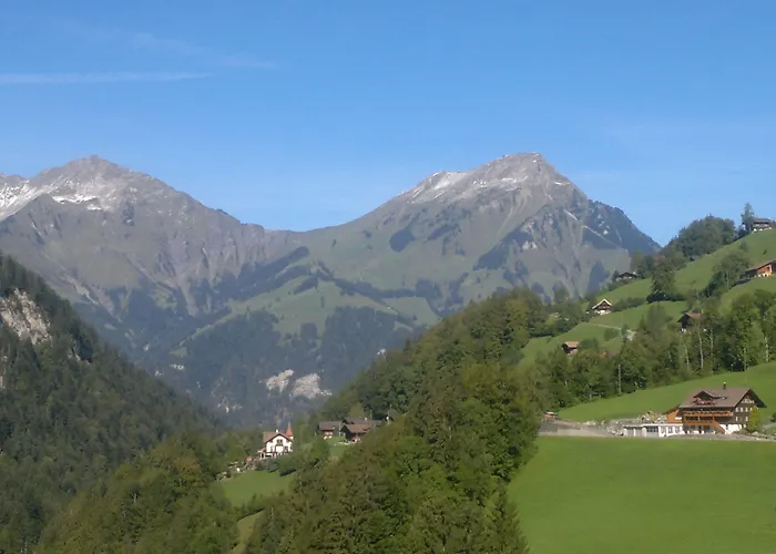 Historisches Baeren 2*